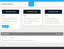 Tablet Screenshot of janmerritstrasser.com